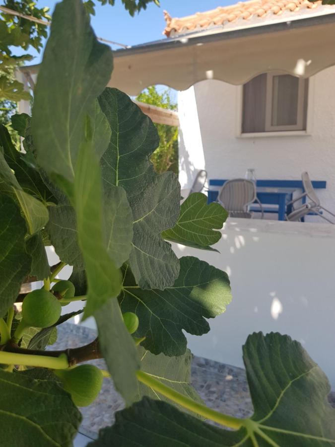 Eleni B&B Limani Kapis Ngoại thất bức ảnh
